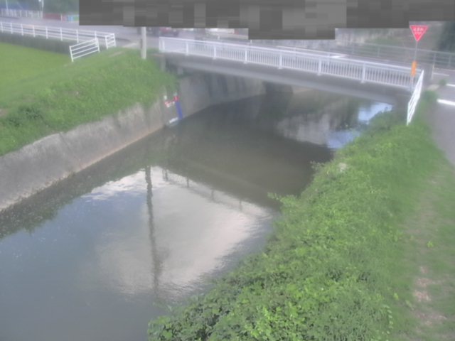 拡大画像