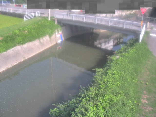 監視画像