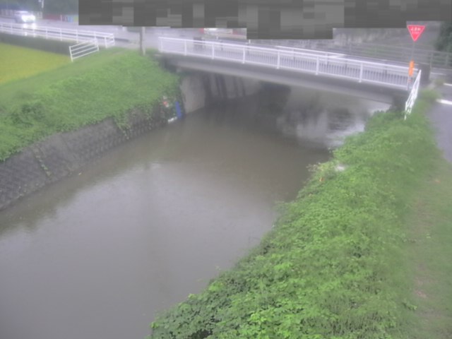 拡大画像