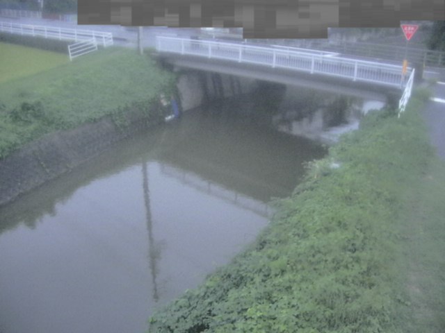 拡大画像