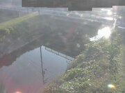 2025-11-15 08:00:00 +0900