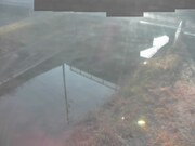 2026-02-14 08:00:00 +0900