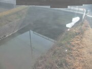 2026-02-14 09:00:00 +0900