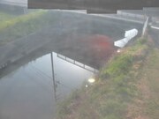 2026-03-21 08:00:00 +0900