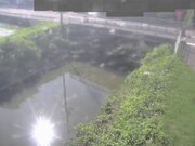 上車橋