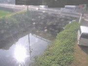 監視画像