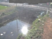 上車橋