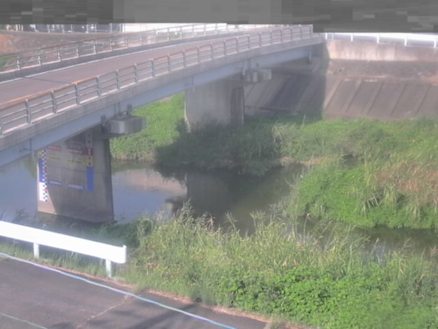 拡大画像