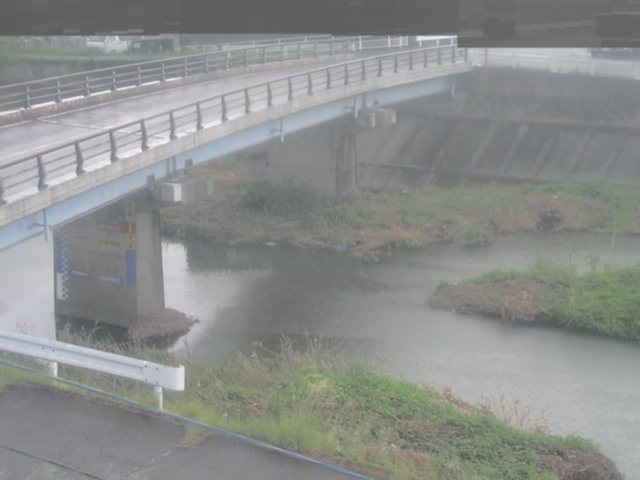 拡大画像