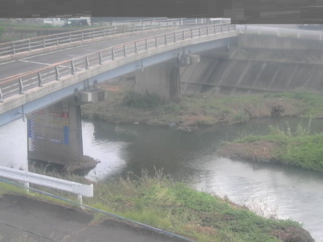 拡大画像