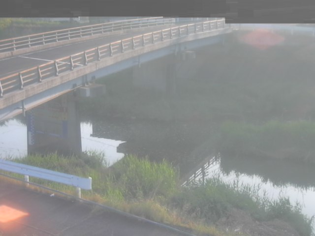 拡大画像