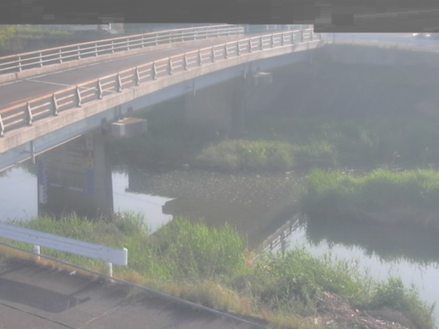 拡大画像