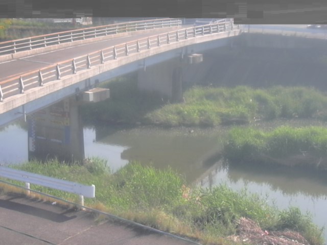拡大画像
