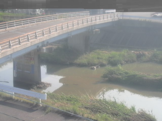 拡大画像