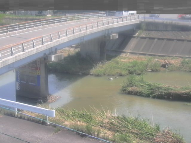 拡大画像