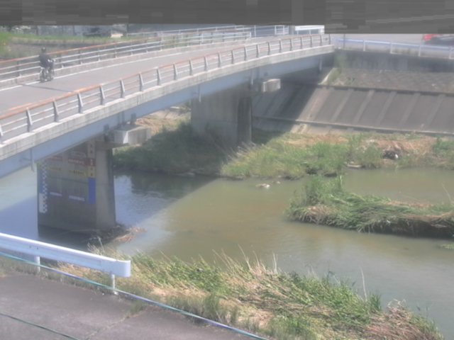拡大画像