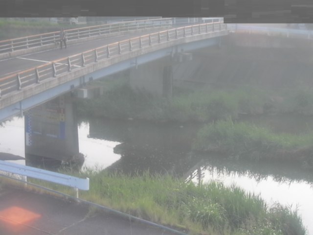 拡大画像