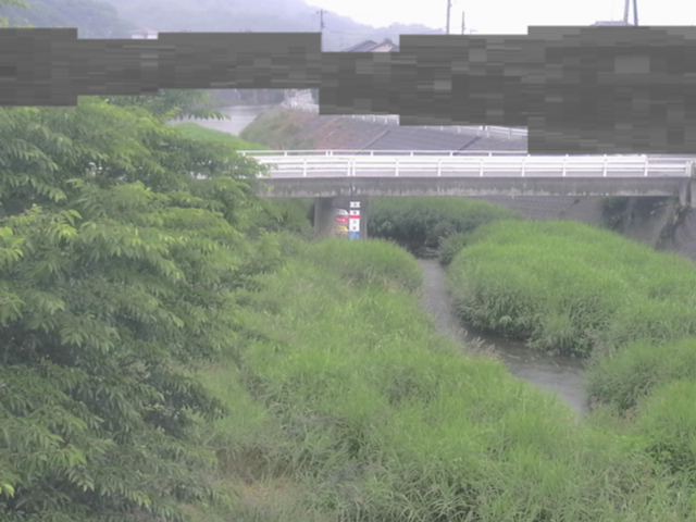 監視画像