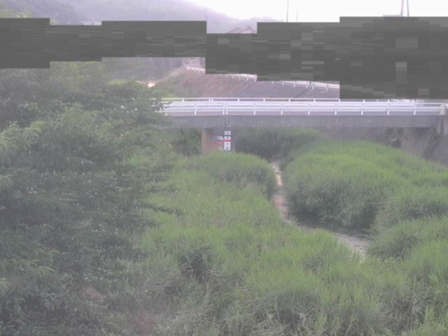 拡大画像