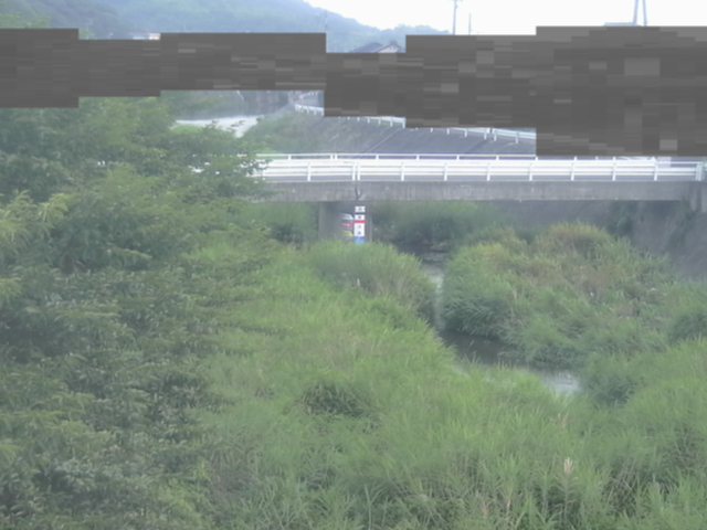 監視画像