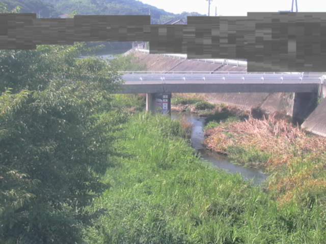 監視画像