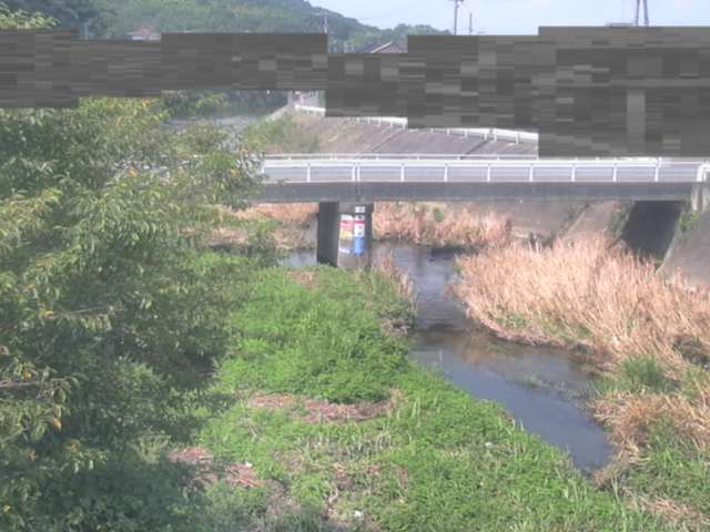 拡大画像