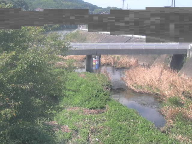 拡大画像