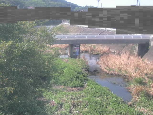 拡大画像