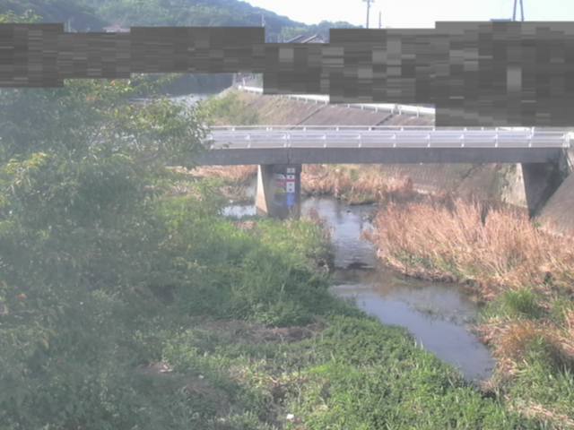 拡大画像