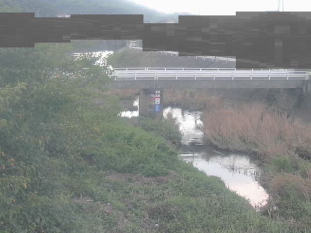 拡大画像