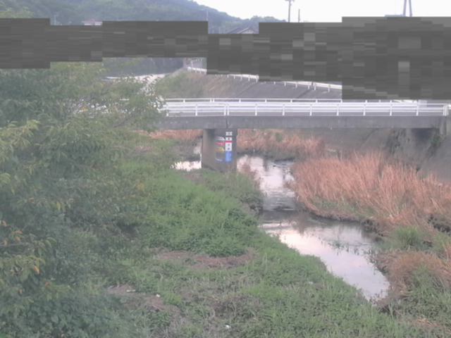 拡大画像