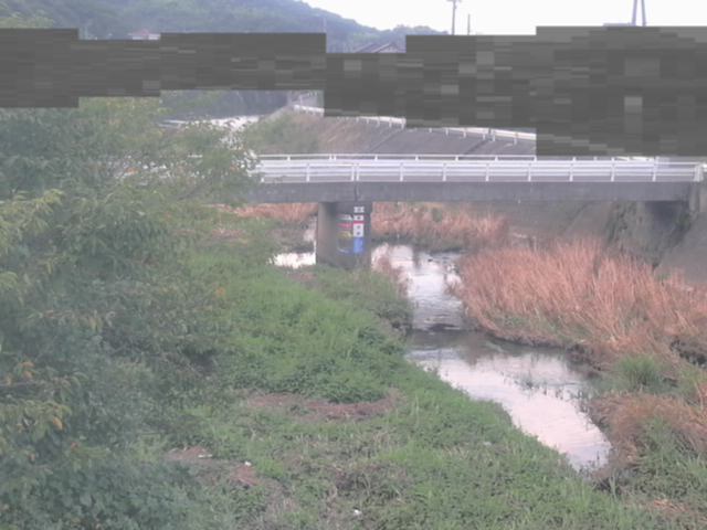 監視画像