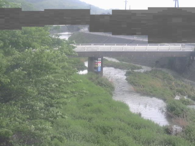 拡大画像
