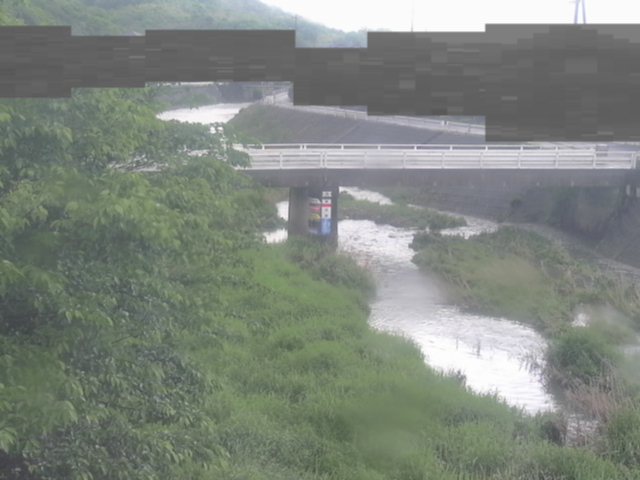 拡大画像