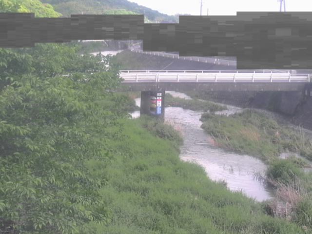拡大画像