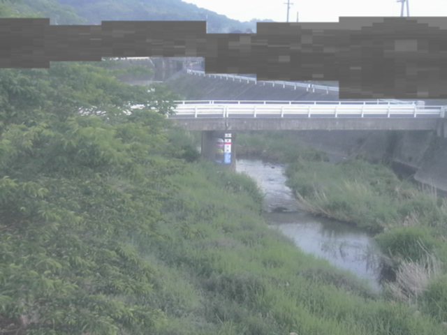 拡大画像