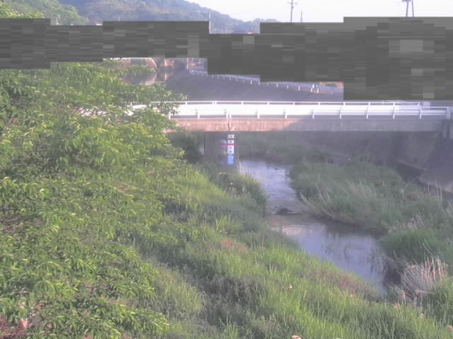 拡大画像