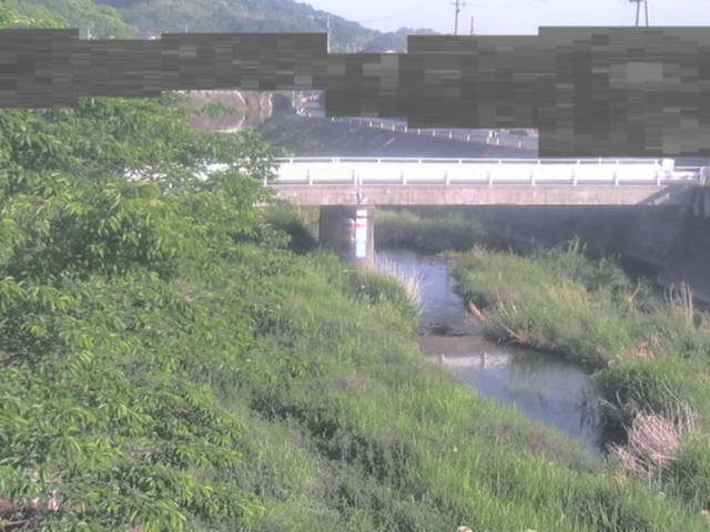 拡大画像
