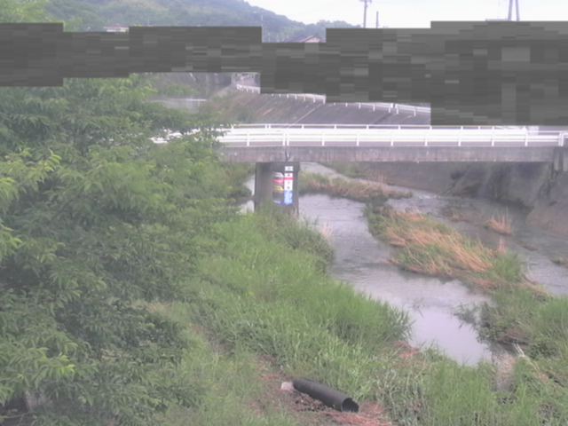 監視画像