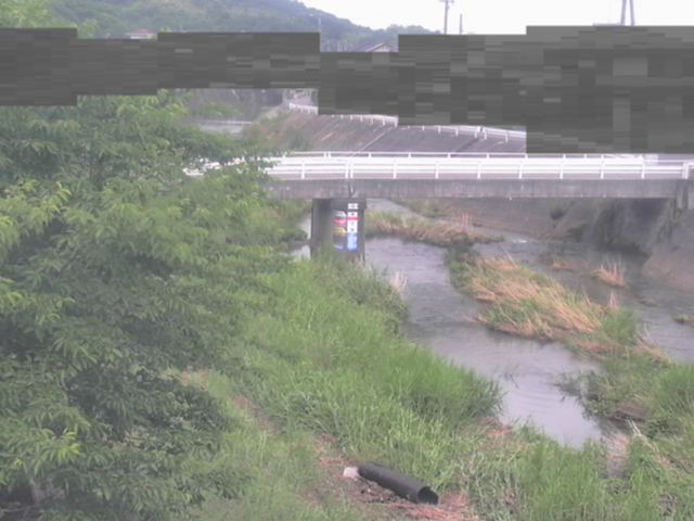 監視画像