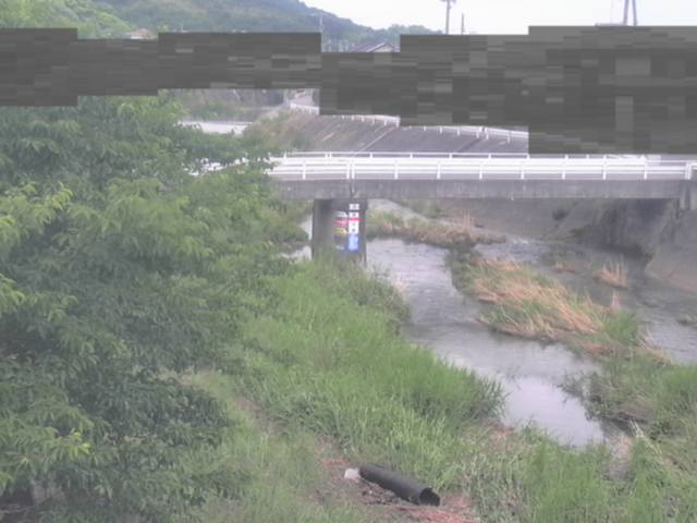 監視画像