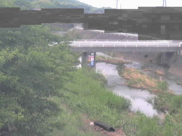 監視画像