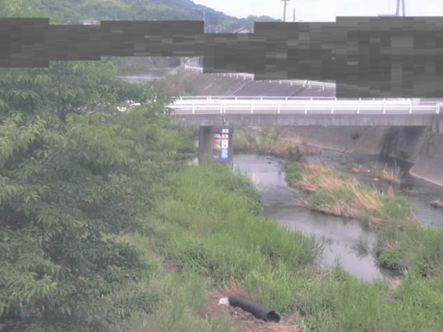 拡大画像