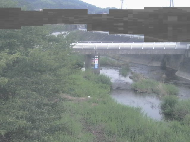拡大画像