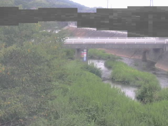 監視画像