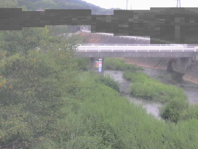 監視画像