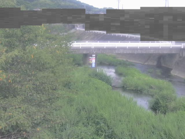 監視画像