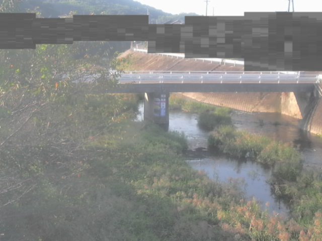 監視画像