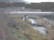 2025-12-22 08:00:00 +0900