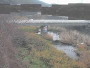 2025-12-22 09:00:00 +0900